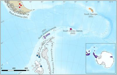 Survivors and colonizers: Contrasting biogeographic histories reconciled in the Antarctic freshwater copepod Boeckella poppei